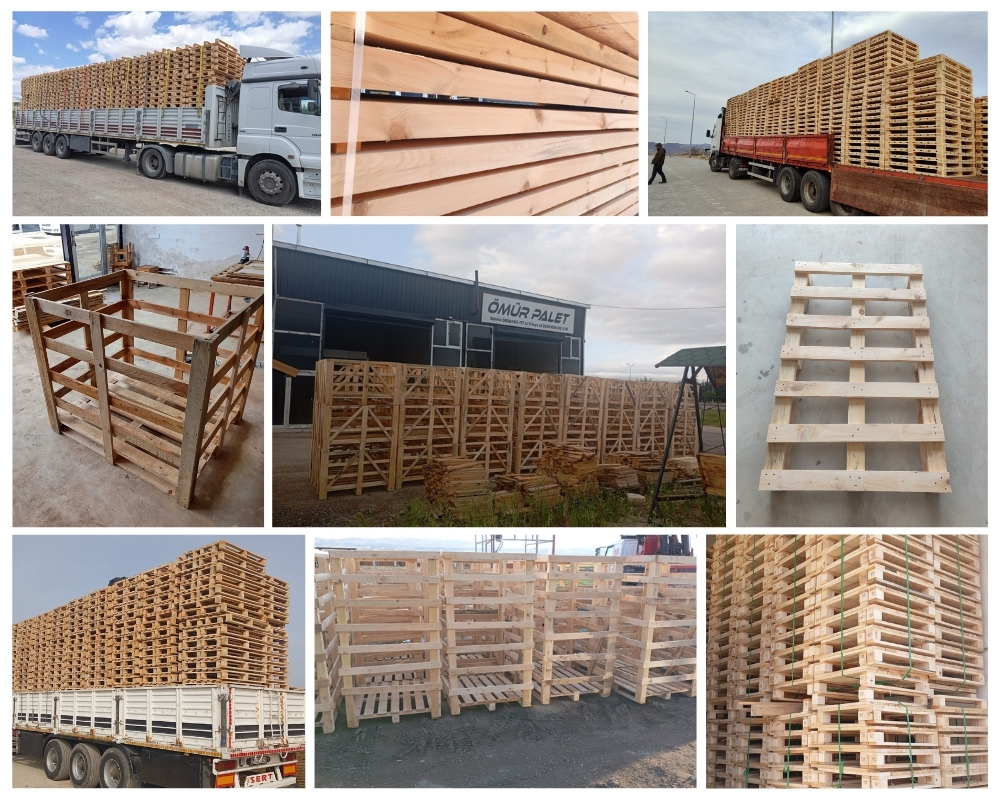 Monteroni d’Arbia Palette Europe, Acheter des palettes en gros